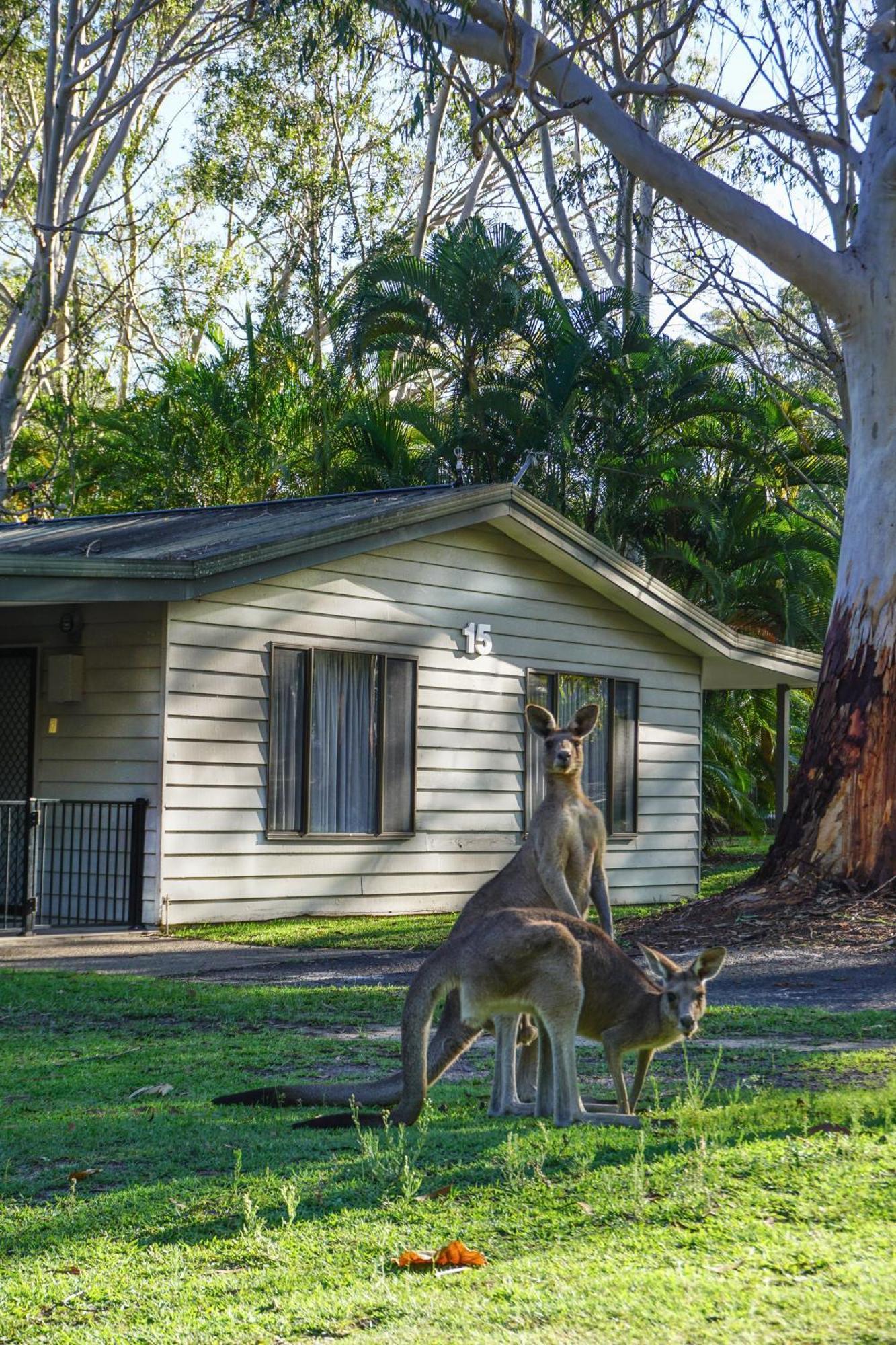 Big4 Noosa North Shore Exterior photo